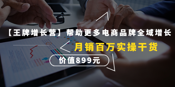 【副业项目4547期】【王牌增长营】帮助更多电商品牌全域增长，月销百万实操干货，价值899元-齐力副业