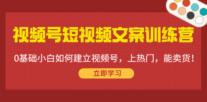 【副业项目4549期】视频号短视频文案训练营：0基础小白如何建立视频号，上热门，能卖货-齐力副业