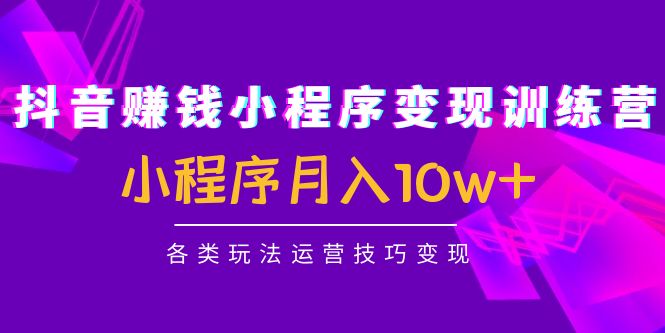 【副业项目4765期】抖音赚钱小程序变现训练营：小程序月入10w+各类玩法运营技巧变现-齐力副业