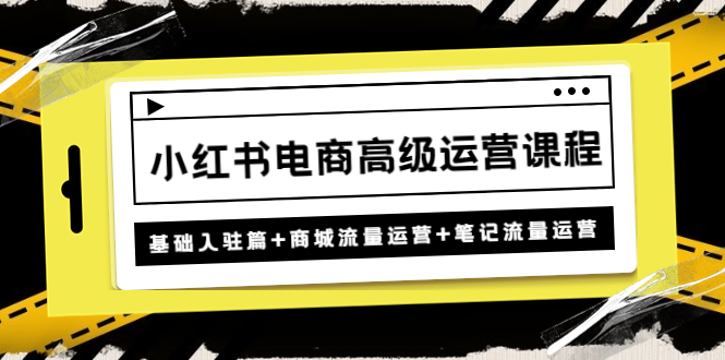 【副业项目4879期】小红书电商高级运营课程：基础入驻篇+商城流量运营+笔记流量运营-齐力副业
