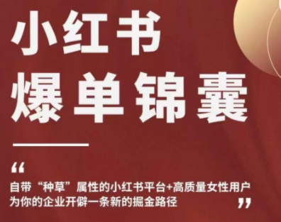 【副业项目4942期】小红书爆单锦囊，自带种草属性+高质量女性用户，为你的企业开辟一条新的掘金路径-齐力副业