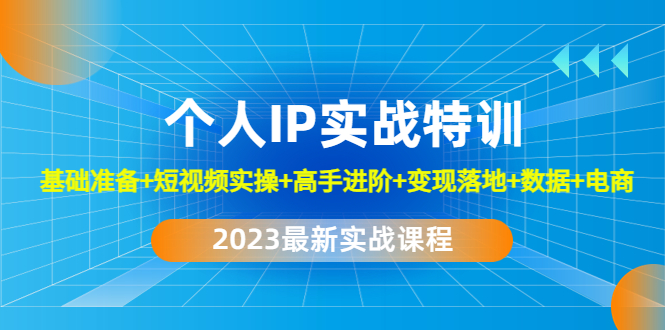 【副业项目4959期】2023个人IP实战特训：基础准备+短视频实操+高手进阶+变现落地+数据+电商-齐力副业