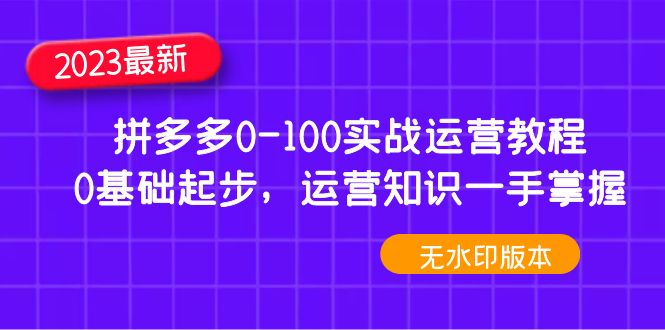 【副业项目5048期】2023拼多多0-100实战运营教程，0基础起步，运营知识一手掌握-齐力副业