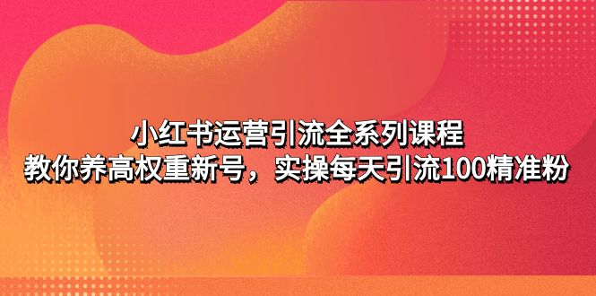 【副业项目5144期】小红书运营引流全系列课程：教你养高权重新号，实操每天引流100精准粉-齐力副业
