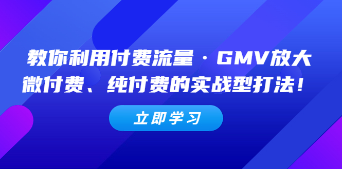 【副业项目5265期】教你利用付费流量·GMV放大，微付费、纯付费的实战型打法-齐力副业