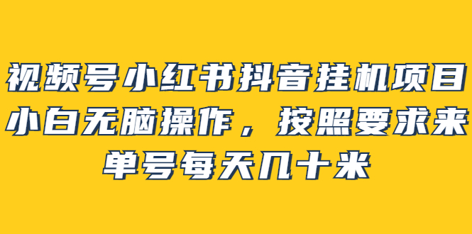 【副业项目2904期】视频号小红书抖音挂机项目，小白无脑操作，按照要求来，单号每天几十米-齐力副业