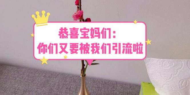 【副业项目5918期】恭喜宝妈们：你们又要被我们引流了（教程+222g资料）-齐力副业