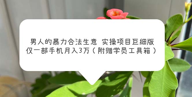【副业项目5982期】男人的暴力合法生意实操项目巨细版：仅一部手机月入3w（附赠学员工具箱）-齐力副业