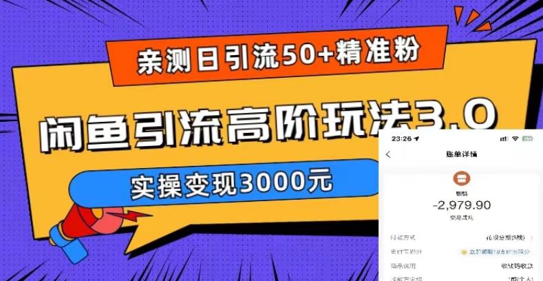 【副业项目5795期】实测日引50+精准粉，闲鱼引流高阶玩法3.0，实操变现3000元-齐力副业