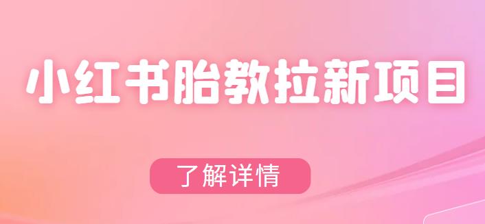 【副业项目6099期】小红书胎教网盘拉新项目，可在私域变现两次（作品制作教程+素材）-齐力副业