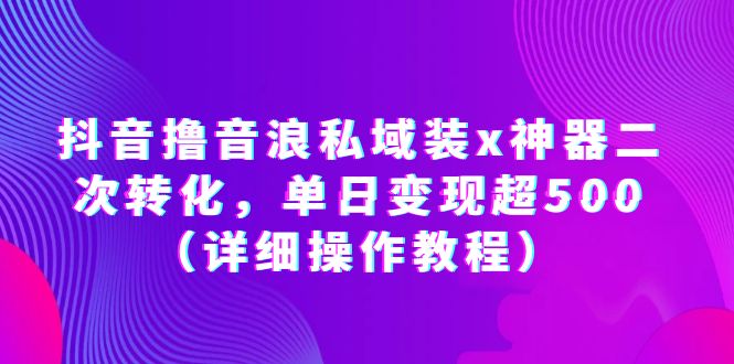【副业项目6229期】抖音撸音浪私域装x神器二次转化，单日变现超500（详细操作教程）-齐力副业