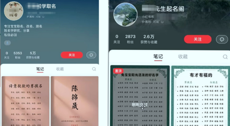 【副业项目6232期】【新课】冷门暴利项目：给宝宝起名（一单200+）内附教程+工具-齐力副业