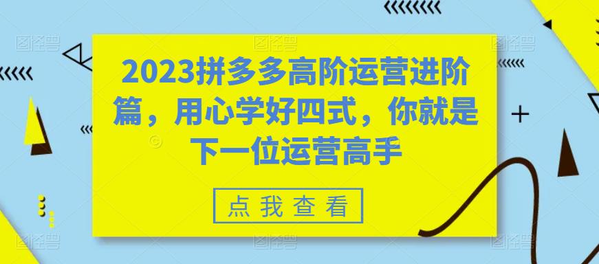【副业项目6241期】2023拼多多高阶运营进阶篇，用心学好四式，你就是下一位运营高手-知行副业网