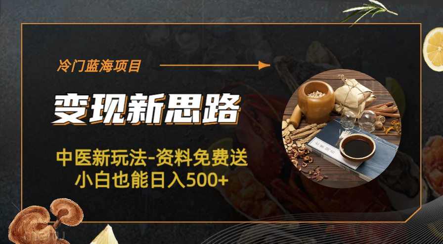 【副业项目6563期】冷门蓝海项目-中医新玩法-资料免费送小白也能日入500+-齐力副业