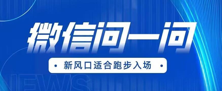 【副业项目6729期】全网首发微信问一问新风口变现项目(价值1999元)【揭秘】-齐力副业