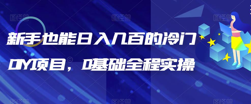 【副业项目6865期】新手也能日入几百的冷门DIY项目，0基础全程实操【揭秘】-齐力副业