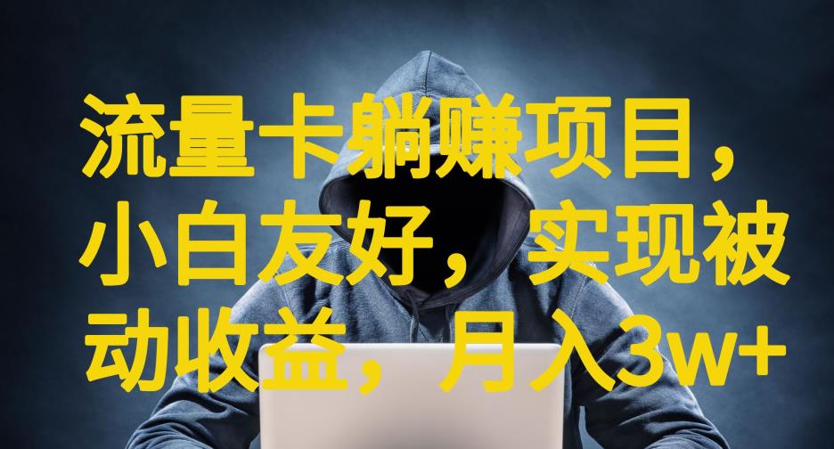 【副业项目6842期】流量卡躺赚项目,小白友好,开设后台,实现被动收益,只要出卡,就能一直赚钱,利润高昂【揭秘】-齐力副业