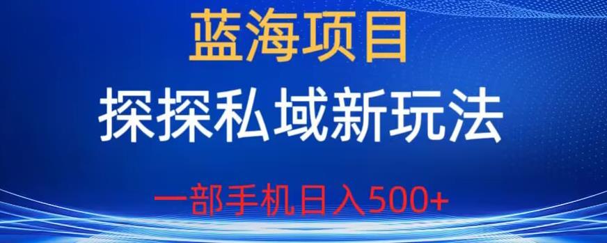 【副业项目6894期】蓝海项目，探探私域新玩法，一部手机日入500+很轻松【揭秘】-齐力副业
