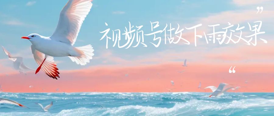 【副业项目6913期】视频号做下雨视频一个账号一周涨粉10W+年入100w-齐力副业
