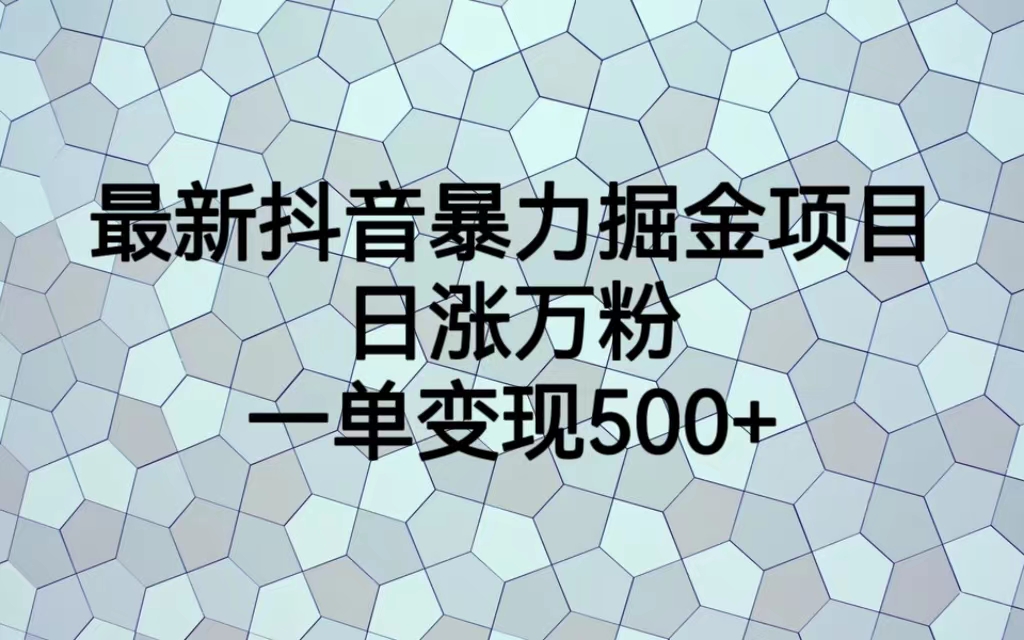 【副业项目6939期】最新抖音暴力掘金项目，日涨万粉，一单变现500+-齐力副业