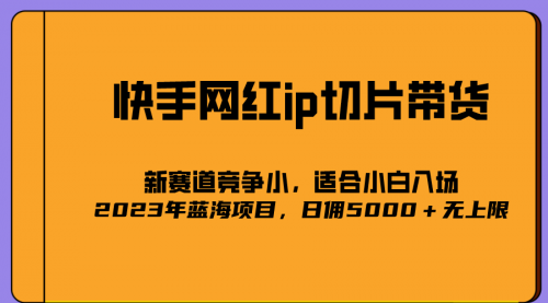 【副业项目7037期】2023爆火的快手网红IP切片，号称日佣5000＋的蓝海项目，二驴的独家授权-齐力副业