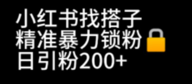 【副业项目7040期】小红书找搭子暴力精准锁粉+引流日引200+精准粉-齐力副业