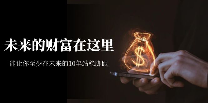 【副业项目7298期】某收费文章《未来的财富在这里》能让你至少在未来的10年站稳脚跟-齐力副业