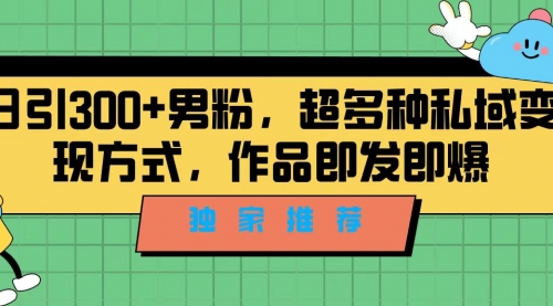 【副业项目7191期】独家推荐！日引300+男粉，超多种私域变现方式-齐力副业