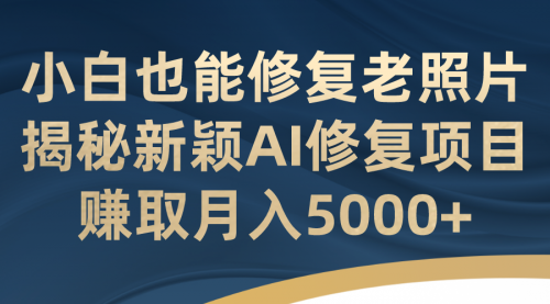 【副业项目7218期】小白也能修复老照片！揭秘新颖AI修复项目-齐力副业