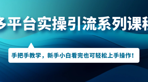 【副业项目7293期】多平台实操引流系列课程，手把手教学，新手小白看完也可轻松上手引流操作！-齐力副业