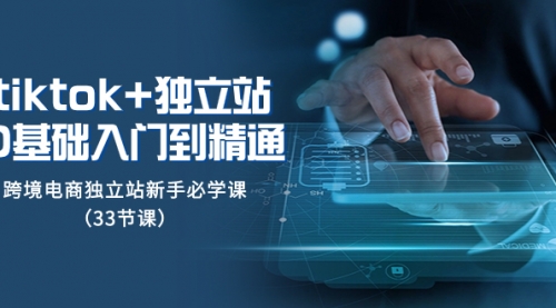 【副业项目8304期】tk+独立站从0基础入门到精通，跨境电商独立站新手必学课-齐力副业