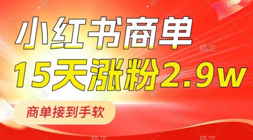 【副业项目8480期】小红书商单最新玩法,新号15天2.9w粉,接单到手软-齐力副业