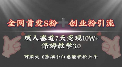 【副业项目8506期】成人用品赛道7天变现10w+保姆教学3.0-齐力副业