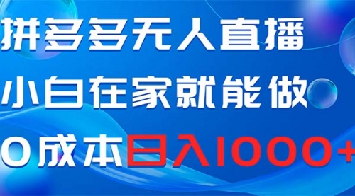 【副业项目8603期】拼多多无人直播，小白在家就能做，0成本日入1000+-齐力副业