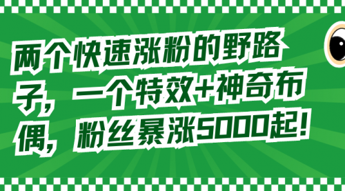 【副业8723期】两个快速涨粉的野路子，一个特效+神奇布偶，粉丝暴涨5000起！-齐力副业