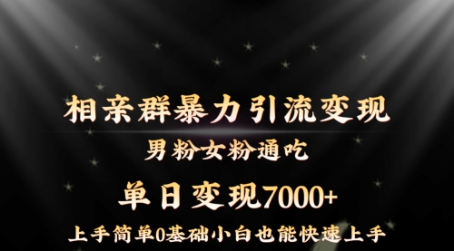【副业8845期】相亲群暴力引流男粉女粉通吃变现玩法，单日变现7000+保姆教学1.0-齐力副业