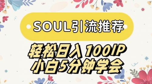 【副业9006期】SOUL引流推荐 轻松日入100IP 小白5分钟学会-齐力副业