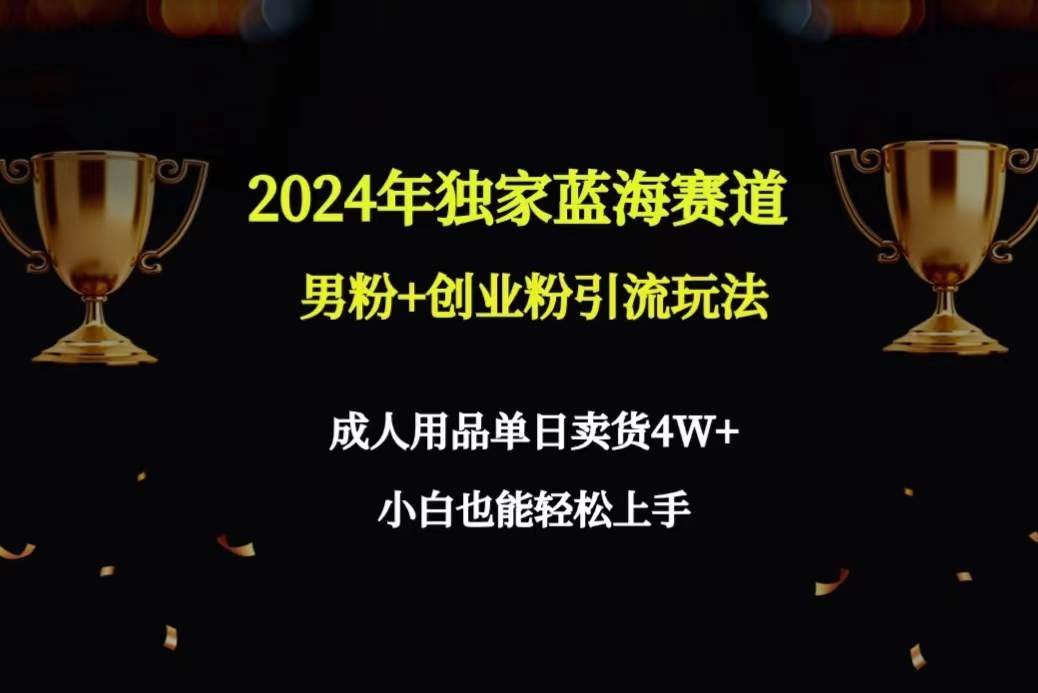 2024年独家蓝海赛道男粉+创业粉引流玩法，成人用品单日卖货4W+保姆教程-齐力副业