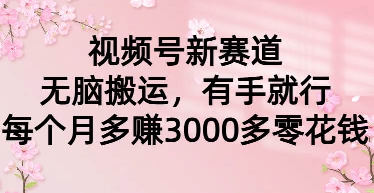 视频号新赛道，无脑搬运，有手就行，每个月多赚3000多零花钱-齐力副业