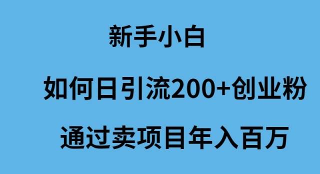 新手小白如何日引流200+创业粉通过卖项目年入百万-齐力副业