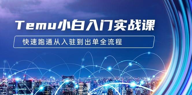 Temu小白入门实战课：跨境拼多多电商培训 快速跑通从入驻到出单全流程-12节-齐力副业