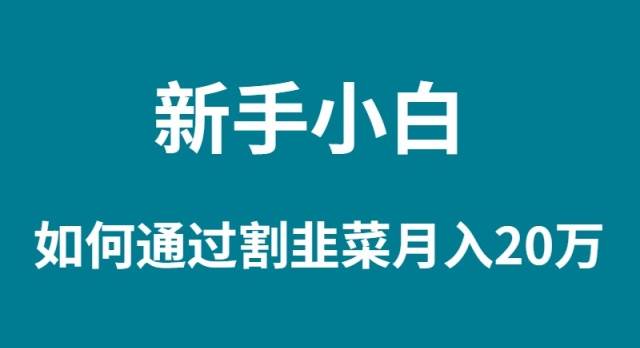 新手小白如何通过割韭菜月入 20W-齐力副业