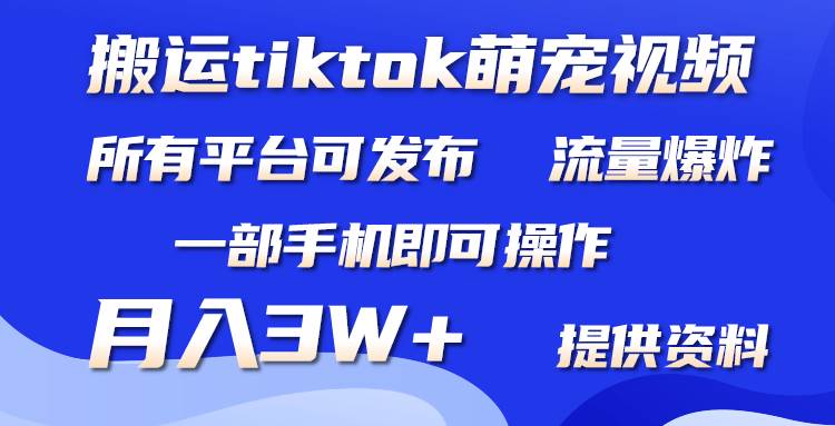 搬运Tiktok萌宠类视频，一部手机即可。所有短视频平台均可操作，月入3W+-齐力副业