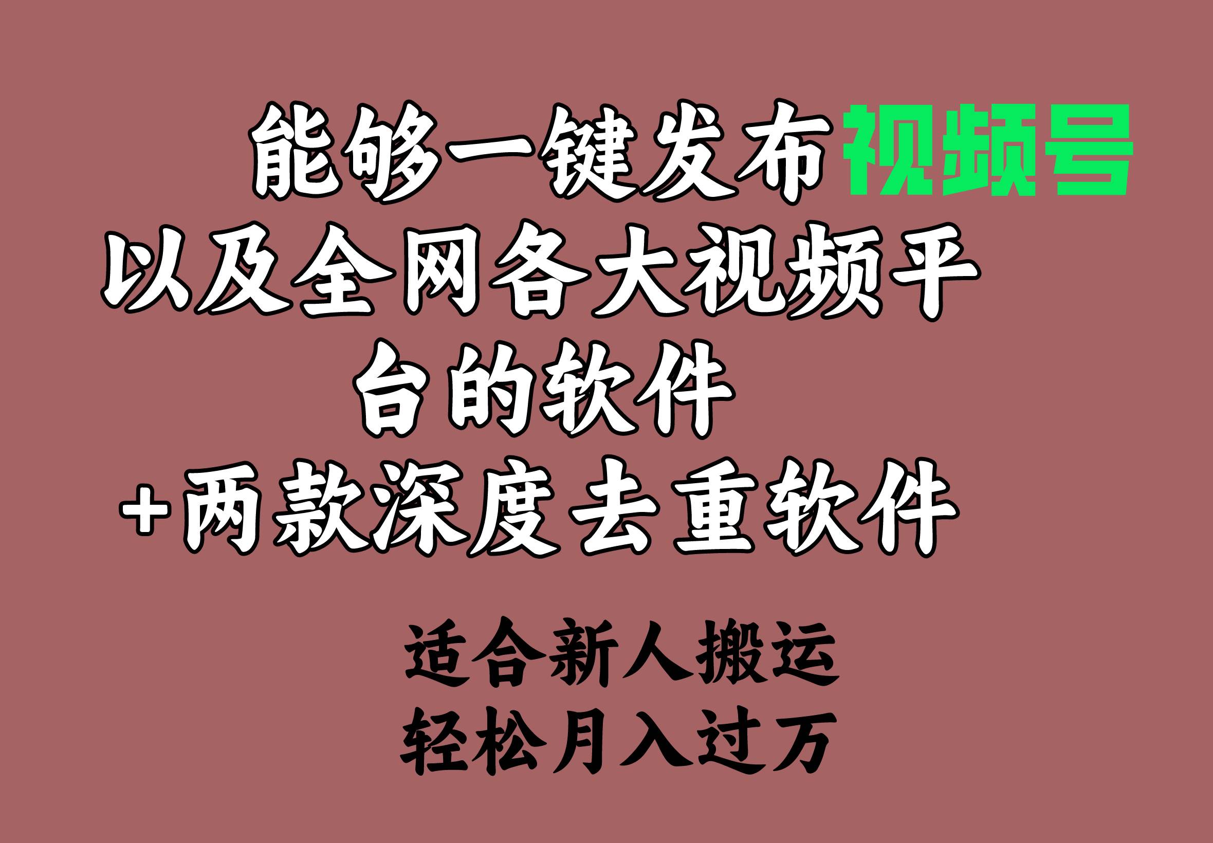 能够一键发布视频号以及全网各大视频平台的软件+两款深度去重软件 适合…-齐力副业
