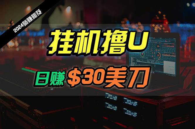 日赚30美刀，2024最新海外挂机撸U内部项目，全程无人值守，可批量放大-齐力副业