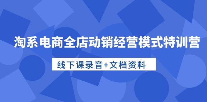 淘系电商全店动销经营模式特训营，线下课录音+文档资料-齐力副业