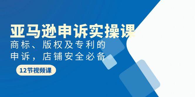 亚马逊-申诉实战课，商标、版权及专利的申诉，店铺安全必备-齐力副业