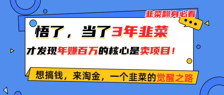 悟了，当了3年韭菜，才发现网赚圈年赚100万的核心是卖项目，含泪分享！-齐力副业