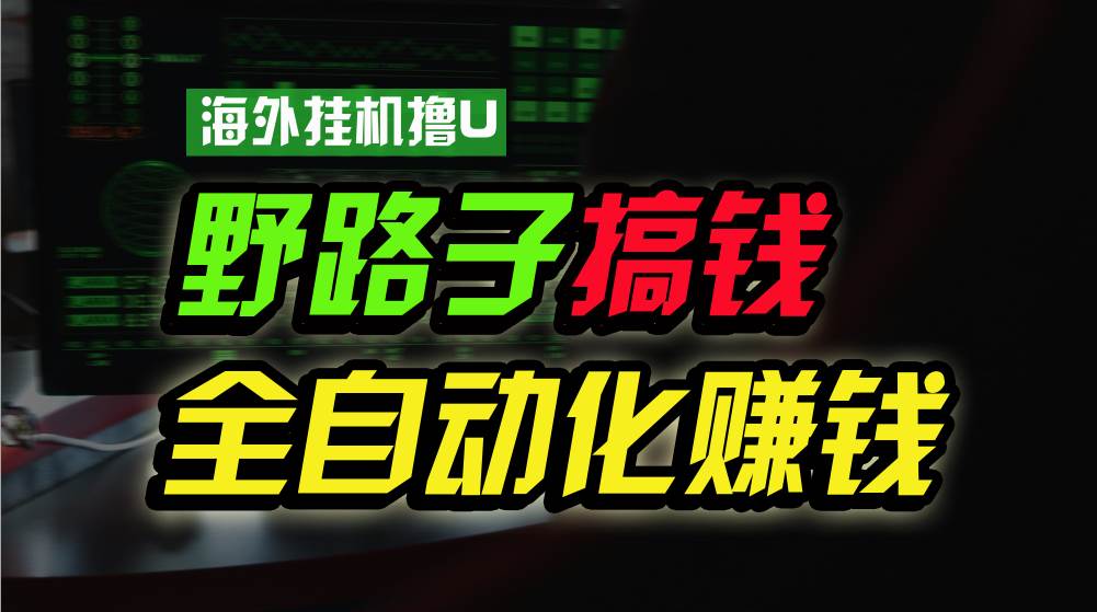 海外挂机撸U新平台，日赚8-15美元，全程无人值守，可批量放大，工作室内...-齐力副业