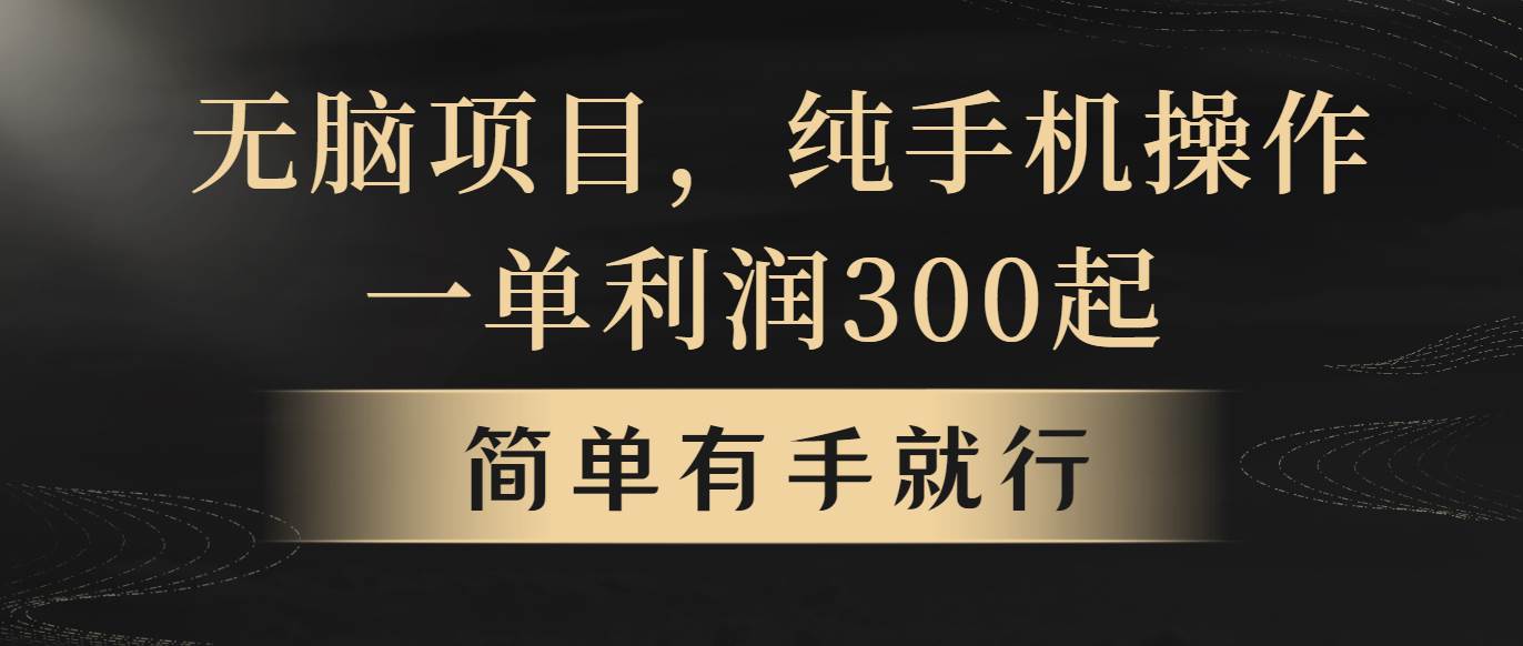 无脑项目，一单几百块，轻松月入5w+，看完就能直接操作-齐力副业